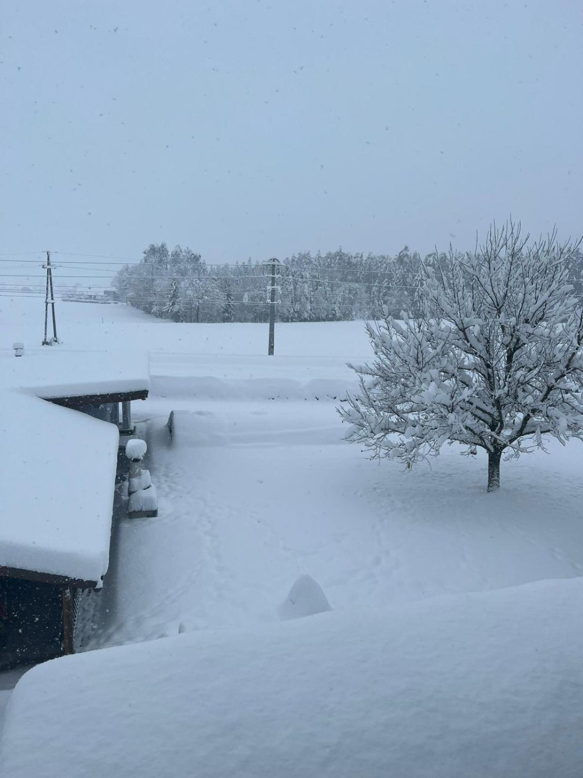 Petzen Panorama Daire Feistritz ob Bleiburg Dış mekan fotoğraf